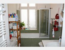 Kleines Badezimmer mit Badewanne, Duschkabine und grünlichen Mosaikfliesen an den Wänden. Ein Regal mit Pflegeprodukten steht links neben der Badewanne, während rechts rote Hängekörbe sowie ein Waschbecken sichtbar sind.