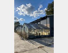 Reihe von alten, gläsernen Gewächshäusern mit leicht beschädigten Strukturen, die an einer gepflasterten Fläche stehen; im Hintergrund ein graues Gebäude, daneben Bäume und Himmel mit wenigen Wolken.