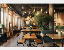 Ein modernes Café mit Holzmöbeln und einem natürlichen Design, geprägt von Holzwänden, hängenden Pflanzen und einer großen Baumdekoration im Innenraum. Pendelleuchten sorgen für warmes Licht, während kleine Tische und Stühle eine gemütliche Atmosphäre schaffen.