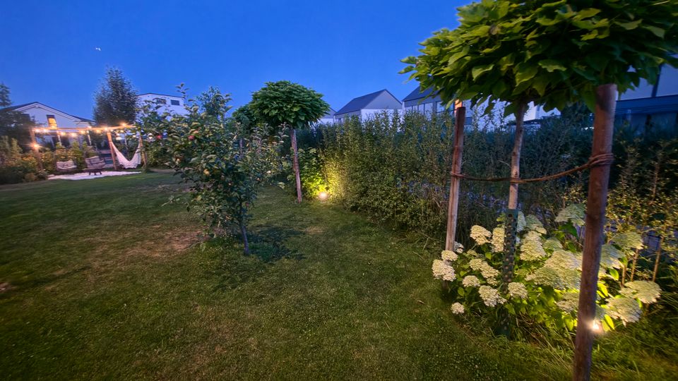 Garten im Wohngebiet in der Dämmerung mit Rasenfläche, jungen Bäumen und einer hohen Hecke entlang der Grundstücksgrenze. Bodeneinbaustrahler beleuchten Pflanzen und weiße Blüten, im Hintergrund sind eine Terrasse mit Lichterkette und Hängematte sowie Häuserdächer zu sehen.