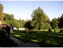 Eine weitläufige Parklandschaft mit Rasenfläche, vereinzelten Bäumen und Sträuchern, umgeben von dichtem Wald. Im Vordergrund führt ein gepflasterter Weg entlang, während im hinteren Bereich Menschen unter Sonnenschirmen stehen.