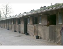 Eine Reihe von Pferdeboxen in einem Holzstall mit offenen oberen Türen, bei denen ein Pferdekopf aus einer Box herausschaut. Der Stall hat ein schräges Dach mit Moosbewuchs, und leere Futterschüsseln stehen auf dem gepflasterten Boden davor.