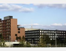 Moderne Stadtansicht mit einem rot verklinkerten Wohngebäude und einem schwarzen Bürogebäude im Vordergrund, umgeben von Bäumen, mit dem Berliner Fernsehturm im Hintergrund vor einem blauen Himmel mit einigen Wolken.