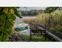 Ein Seeufer mit Schilfbewuchs, einem Steg aus Holz und Metall sowie einer Bank im Vordergrund. Ein kleines, teilweise mit einer Plane bedecktes Ruderboot liegt im Wasser neben dem Schilf.