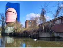 Ein Fluss mit einem weißen Schwan im Vordergrund, umgeben von kahlen Bäumen. Im Hintergrund stehen ein auffälliger rosa Behälter, ein modernes blaues Gebäude und ein flaches rotes Backsteingebäude.
