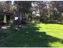 Grüne Rasenfläche in einem Garten, umgeben von hohen Bäumen und einem Holzzaun im Hintergrund. Links stehen eine Terrasse mit Sonnenschirm und Gartenmöbeln sowie Pflanzen und Dekorationen.