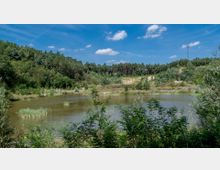 Ein kleiner, ruhiger See, umgeben von dichter grüner Vegetation und einem Wald im Hintergrund unter einem blauen Himmel mit vereinzelten Wolken. Im Hintergrund ist eine gelbe Sandböschung sowie ein Funkmast sichtbar.