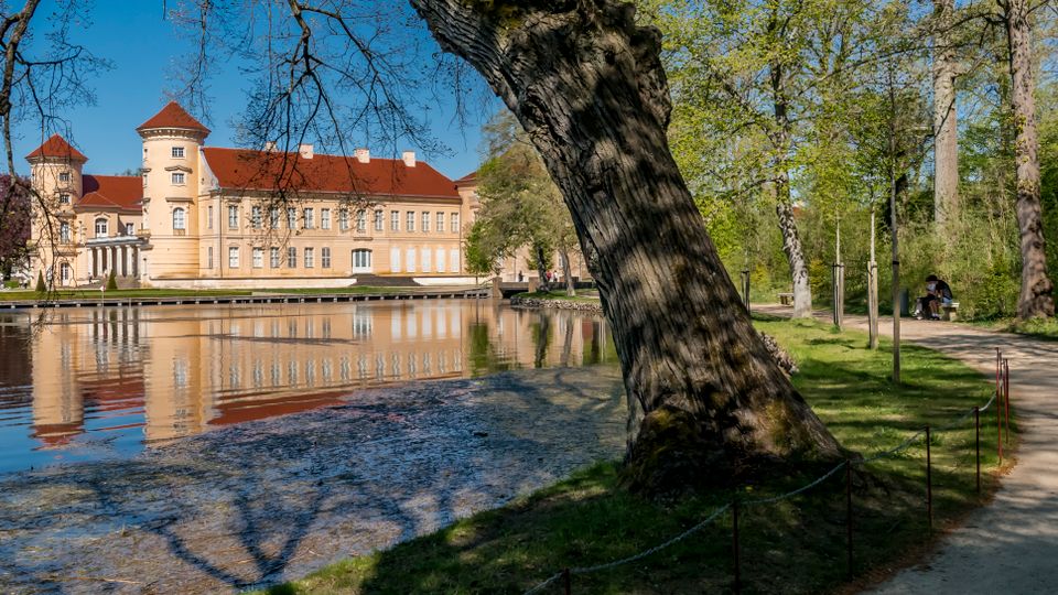 View across a calm pond toward a large historic palace with pale walls and red-tiled roofs, including corner towers, reflected in the water. A tree-lined park path runs along the right side beside the pond, with large trees and spring foliage framing the scene.
