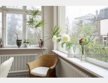 Helle Wohnungsecke mit großen Fenstern, auf der Fensterbank stehen Zimmerpflanzen und Blumenvasen, darunter ein Heizkörper; davor ein Rattansessel. Im Hintergrund ist eine grüne Gartenlandschaft und ein Nachbargebäude sichtbar.