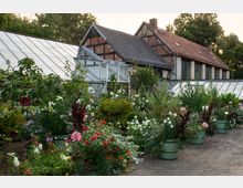 Historisches Fachwerkhaus mit Ziegeldach, flankiert von großen Gewächshäusern aus Glas. Im Vordergrund befinden sich zahlreiche bunte Blumen und grüne Pflanzen, teils in Kübeln, umgeben von einem Gartenweg.