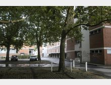 Hinterhof mit parkenden Autos, gesäumt von großen Bäumen, und umgeben von roten Backsteingebäuden mit Fenstern und Graffitis an der Wand. Der Boden besteht aus Pflastersteinen, und im Hintergrund führt eine Einfahrt zwischen den Gebäuden hindurch.