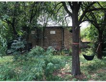 Ein verwildertes Grundstück mit dichtem Grünbewuchs und mehreren Bäumen, an einem von ihnen ist eine Hängematte befestigt. Im Hintergrund steht ein Ziegelgebäude mit teilweise zerstörten Fenstern und Graffiti an der Wand.