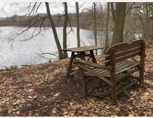 Holztisch und Holzbank stehen auf einem mit Herbstlaub bedeckten Waldboden direkt am Ufer eines Sees, umgeben von kahlen Bäumen. Im Hintergrund ist die ruhige Wasseroberfläche des Sees und eine Baumreihe zu sehen.