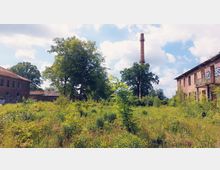 Industriegelände mit verlassenen Backsteingebäuden, umgeben von dichtem Wildwuchs und Bäumen; im Hintergrund steht ein hoher Schornstein. Der Himmel ist leicht bewölkt.