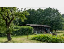 Ein Holzschuppen auf einer Wiese, umgeben von dichter Vegetation und Bäumen im Hintergrund. Im Vordergrund befinden sich ein Gemüsebeet, ein Baum und verschiedene Gartengeräte.