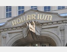 Eingangsbereich eines Gebäudes mit der Aufschrift „AQUARIUM“ in goldener Schrift, verziert mit einem steinernen Relief eines prähistorischen Tieres (ähnlich einem Triceratops) über einem Rundbogen. Die Fassade besteht aus hellem Stein mit ornamentalen Details und darüber liegenden rechteckigen Fenstern.