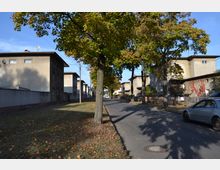 Straßenansicht einer Wohnsiedlung mit mehrstöckigen, hellbraunen Putzgebäuden aus der Nachkriegszeit. Die Straße ist von Bäumen gesäumt, deren herbstliches Laub teils auf dem Boden liegt, und daneben verlaufen kleine Vorgärten und geparkte Autos.