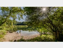 Ein kleiner, bewaldeter See mit sandigem Ufer im Vordergrund, umgeben von dichten Bäumen und Sträuchern. Sonnenlicht scheint durch die Blätter und spiegelt sich auf der ruhigen Wasseroberfläche.
