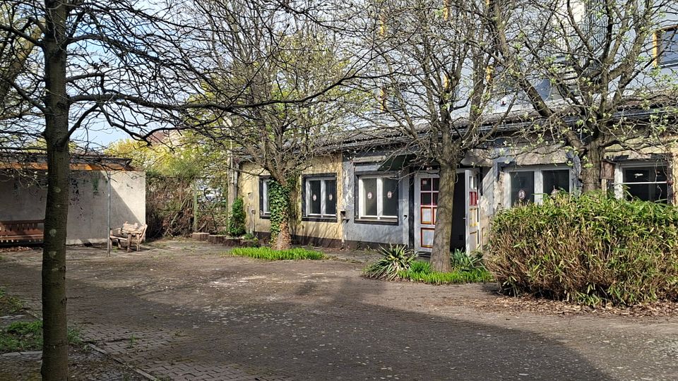 Innenhof mit gepflasterter Fläche und mehreren kahlen Bäumen vor einem eingeschossigen Gebäude mit flachem Dach, Fenstern und einer farbig gerahmten Eingangstür. Am Rand stehen Sträucher und kleine Grünflächen, links ist ein überdachter Bereich mit Wand und Sitzgelegenheit zu sehen.