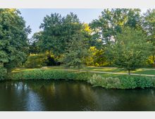 Parklandschaft mit einem ruhigen Gewässer im Vordergrund, umgeben von dichter grüner Vegetation. Im Hintergrund stehen große Bäume, ein Fußweg und eine Parkbank, während Sonnenlicht durch die Blätter scheint.