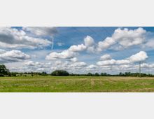 Weite Wiesenlandschaft mit vereinzelten Baumgruppen und Strommasten im Hintergrund, unter einem Himmel mit zahlreichen weißen Wolken. Stromleitungen verlaufen diagonal über den Himmel.