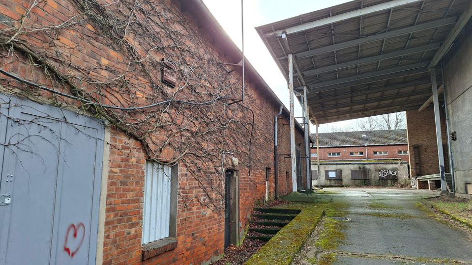 Schmaler Hof zwischen Backstein-Industriegebäuden mit überwucherten Ranken an der Wand, verschlossenen Türen und kleinen Fenstern. Rechts überspannt ein großes Vordach aus Metall und Holz die asphaltierte Zufahrt; im Hintergrund stehen weitere Lagergebäude.