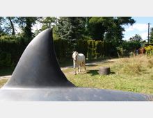 Eine ländliche Szene mit einem weißen Pferd, das auf einem Weg nahe einer Wiese steht. Im Vordergrund ragt eine große, schwarze Plastikflosse in die Höhe, umgeben von Bäumen und Büschen im Hintergrund.