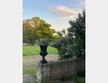 Ein Garten mit einer alten Steinmauer im Vordergrund, darauf ein schwarzer Pflanzenkübel. Rechts blühender Flieder, im Hintergrund eine Wiese und Bäume bei Sonnenuntergang.
