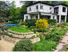 Modernes zweistöckiges Wohnhaus mit weißer Fassade und Flachdach, umgeben von einem gepflegten Garten mit Terrassenbeeten, blühenden Sträuchern und einem gelben Zierbusch. Im Vordergrund sind Steinmauern, eine Rasenfläche und ein Gehweg sichtbar, während im Hintergrund hohe Bäume den Garten umgeben.