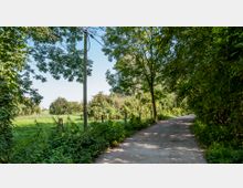 Schmaler, von Bäumen und Sträuchern umsäumter Weg in einer ländlichen Umgebung, mit angrenzenden Wiesen und einem Holzzaun auf der linken Seite. Ein Strommast steht am Wegrand, und die Szenerie ist von dichter Vegetation geprägt.