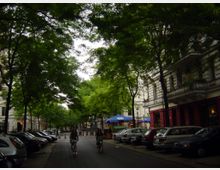 Straßenszene in einer Wohngegend mit Bäumen, die dichtes grünes Blätterdach bilden. Auf beiden Seiten der Straße stehen geparkte Autos vor mehrstöckigen Gebäuden mit Balkonen, während zwei Personen auf Fahrrädern die Straße entlangfahren.