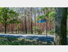 Ein schmaler, asphaltierten Straße führt durch einen Kiefernwald, flankiert von hohen Baumstämmen und vereinzeltem Unterholz. Im Vordergrund steht ein Straßenschild mit der Aufschrift „Str. nach Fichtenwalde“.
