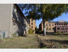 Ehemaliges Industriegelände mit verfallenen Gebäuden aus Backstein und Putz; links eine lange, graue Fassade mit hohen Fenstern, rechts ein rotes Gebäude mit zerstörtem Dach, dazwischen eine überwucherte Grünfläche mit einem großen Baum.