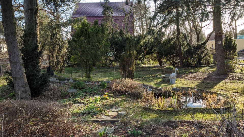 Gartenanlage mit großen Bäumen, Rasenflächen und Sträuchern sowie einem kleinen Teich mit Schilf am rechten Bildrand. Im Hintergrund steht ein Wohnhaus mit rotem Ziegeldach, teilweise durch das Gehölz verdeckt.