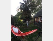 Ein Garten mit einer Hängematte in Rot- und Orangetönen, die auf einem Metallgestell steht, umgeben von Rasenfläche. Im Hintergrund sind ein großer Baum, ein Zaun aus Holz und ein dunkel gestrichenes Haus mit bunten Fensterrahmen sichtbar.