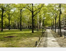 Grüne Parklandschaft mit einem gepflasterten Gehweg, gesäumt von hohen Bäumen mit frischem Laub. Im Hintergrund sind mehrstöckige Wohn- und Geschäftsgebäude sowie eine Straße mit geparkten Autos zu sehen.