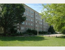 Mehrstöckiges Wohngebäude in schlichter Plattenbauweise mit mehreren Fenstern pro Etage, umgeben von Rasenflächen und großen Bäumen. Im Vordergrund befinden sich ein Weg und einige parkende Autos.