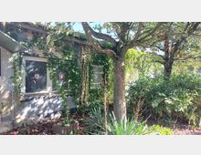 Eine Hauswand mit zwei Fenstern, die von Efeu und anderen Kletterpflanzen bewachsen ist. Im Vordergrund stehen ein Baum und dichtes Gebüsch, umgeben von wilden Pflanzen und Laub.