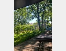 Ein Garten mit grünem Rasen und Bäumen, die Schatten spenden. Im Vordergrund liegt eine Holzterrasse mit Sonnenliegen und einem Tisch, im Hintergrund ist ein Hausdach sichtbar.