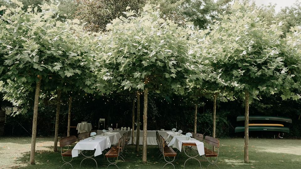 Überdachter Sitzbereich im Garten unter einem dichten Blätterdach aus kleinen Bäumen, mit langen Tischen und Holzbänken auf Rasen. Die Tische sind mit weißen Tischdecken gedeckt, zwischen den Ästen hängen kleine Lichterketten; im Hintergrund stehen weitere Bäume und gestapelte Boote.