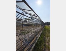 Metallstruktur eines verlassenen Gewächshauses mit teils durchsichtigem Oberbau, auf einem trockenen, sandigen Boden mit vereinzeltem Pflanzenbewuchs. Im Hintergrund sind Bäume und ein strahlender Himmel mit Sonne zu sehen.