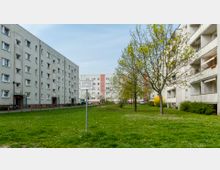 Hof einer Wohnanlage mit mehrstöckigen, verputzten Wohngebäuden auf beiden Seiten. Im Vordergrund eine Grünfläche mit Bäumen, Büschen und einem Schild, das Ballspielen untersagt.