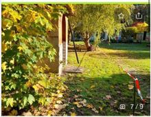 Ein Garten mit grünem Rasen, Herbstlaub auf dem Boden und einem markanten Baum mit herabhängenden Zweigen im Hintergrund. Links ist ein kleiner Holzschuppen sichtbar, und ein Bereich ist mit rot-weißem Absperrband markiert.