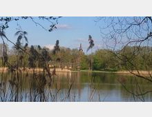 Ein See mit Schilf im Vordergrund, dahinter eine Baumreihe und eine Kirche mit spitzem Turm, die zwischen den Bäumen sichtbar ist. Der Himmel ist klar mit vereinzelten Wolken.