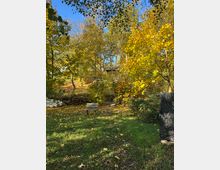 Waldgebiet mit herbstlich verfärbten Bäumen, einer grünen Wiese im Vordergrund und einer Holzbank. Im Hintergrund ist eine Brücke zwischen den Bäumen erkennbar.