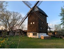 Eine historische Windmühle mit hölzernem Aufbau und großen Flügeln steht auf einer Wiese. Im Vordergrund befinden sich bunte Tulpen, und im Hintergrund sind Bäume sowie kleinere, rustikale Gebäude zu sehen.