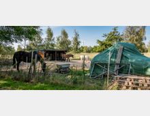 Eine ländliche Pferdekoppel mit mehreren Pferden, umgeben von einem Zaun und Bäumen. Im Hintergrund sind ein Unterstand, ein mit grüner Plane bedeckter Stapel sowie ein Windrad zu sehen.