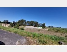 Offene Fläche mit sandigem Boden, einer Grasbewachsung und einzelnen Bäumen im Hintergrund. Ein grüner Container sowie ein Erdhügel befinden sich zentral im Bild, daneben eine asphaltierte Fläche und ein klarer blauer Himmel.