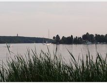 Seeufer mit hohem Schilf im Vordergrund, dahinter ein ruhiger See mit mehreren Booten und einer bewaldeten Uferlinie. Am Horizont ist ein Turm auf einem Hügel zu erkennen.