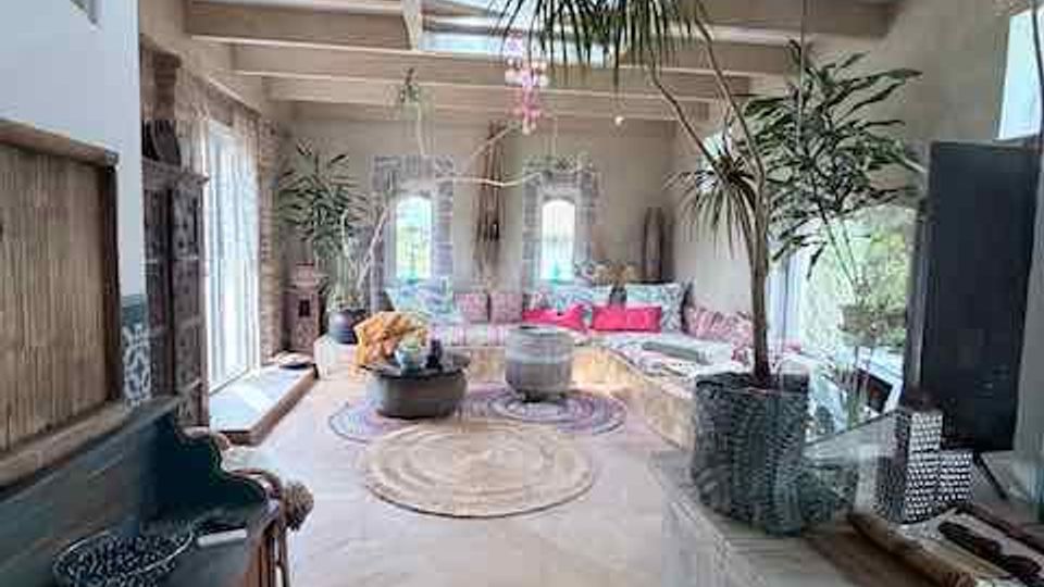 Helles Wohnzimmer mit sichtbaren Deckenbalken und großen Fenstern entlang der Seite, eingerichtet mit Sofaecke, runden Teppichen und Couchtischen. Mehrere große Zimmerpflanzen sowie Holzmöbel und ein TV-Schrank prägen den Raum.